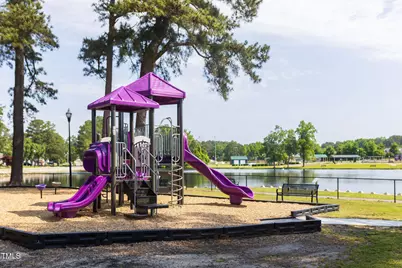 272 Alice Trace Place, Angier, NC 27501 - Photo 28