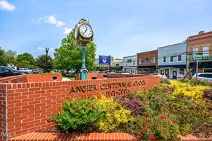 248 Alice Trce Pl, Angier, NC 27501 - Photo 18