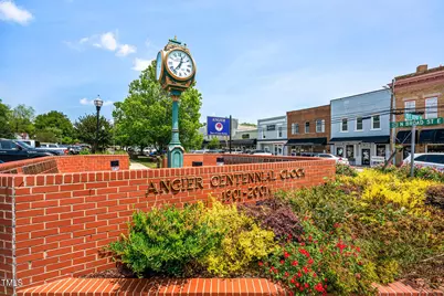 248 Alice Trace Place #25, Angier, NC 27501 - Photo 28