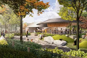 224 Byrum St, Cary, NC 27511 - Photo 10