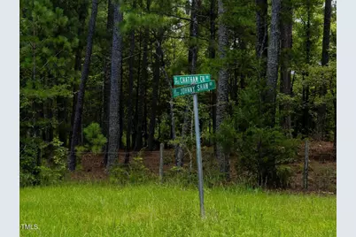 168 Ambika Landing, Moncure, NC 27559 - Photo 12