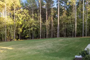 7932 Wexford Waters Ln, Wake Forest, NC 27587 - Photo 30