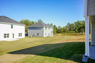 243 New Twin Br Ct, Smithfield, NC 27577 - Photo 46