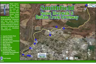 315 New Twin Br Ct, Smithfield, NC 27577 - Photo 34