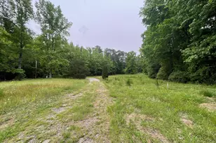 4628 Rogers Rd, Wake Forest, NC 27587 - Photo 42