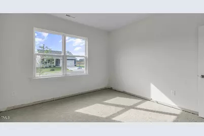 809 Comice Pear Way, Willow Springs, NC 27592 - Photo 20