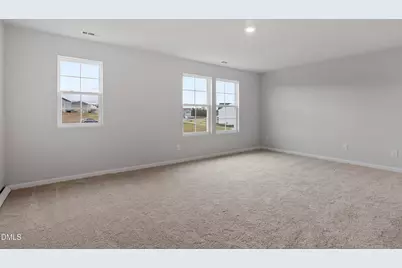 228 Alice Trace Place, Angier, NC 27501 - Photo 24