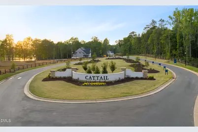 25 Alex Farm Court, Zebulon, NC 27597 - Photo 94