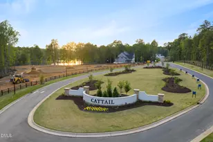 418 Mollie Mdw Dr, Zebulon, NC 27597 - Photo 50
