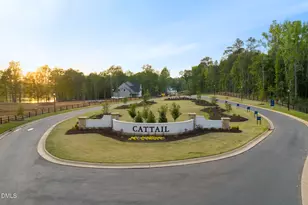 418 Mollie Mdw Dr, Zebulon, NC 27597 - Photo 52