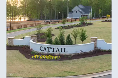 418 Mollie Mdw Drive, Zebulon, NC 27597 - Photo 48