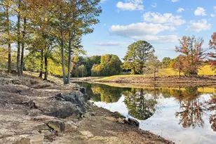 225 Sacred Fire Rd, Louisburg, NC 27549 - Photo 38