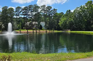 100 Wentbridge Rd, Cary, NC 27519 - Photo 38