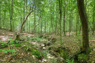 Lot 8 Stallings Rd, Spring Hope, NC 27882 - Photo 6