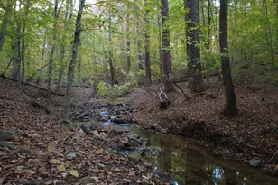 79 Oldham Est Dr, Chapel Hill, NC 27517 - Photo 62