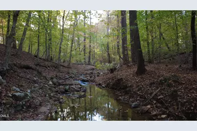 79 Oldham Estate Drive, Chapel Hill, NC 27517 - Photo 66