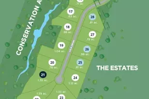 441 Lila Dr, Pittsboro, NC 27312 - Photo 44