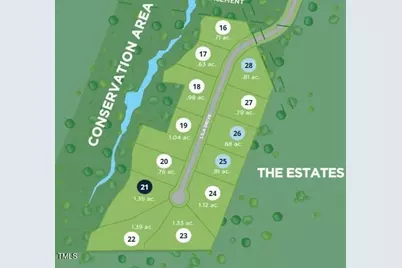 441 Lila Drive, Pittsboro, NC 27312 - Photo 42