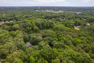 917 Reedy Creek Road, Cary, NC 27513 - Photo 10