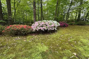 2706 Montgomery St, Durham, NC 27705 - Photo 10