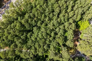 1533 Brown St, Durham, NC 27713 - Photo 1