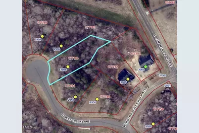 2908 Forest Creek Lane, Mebane, NC 27302 - Photo 4