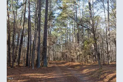 Lot 1 D Turkey Buzzard Lane, Pittsboro, NC 27312 - Photo 4