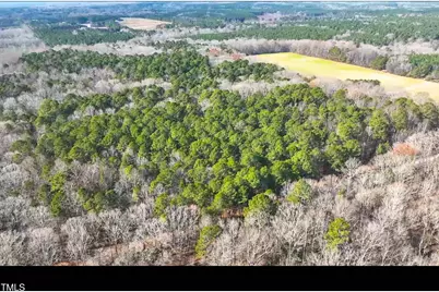Lot 1 D Turkey Buzzard Lane, Pittsboro, NC 27312 - Photo 2
