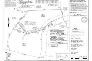 110 Wolfs Trail, Chapel Hill, NC 27516 - Photo 78