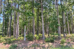 000 Edwards Rd, Spring Hope, NC 27882 - Photo 1