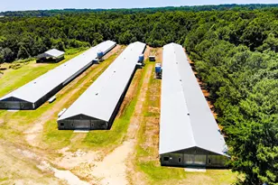 2642 Holly Springs Church Rd, Broadway, NC 27505 - Photo 2