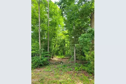 0 Major Hill Road, Snow Camp, NC 27349 - Photo 2
