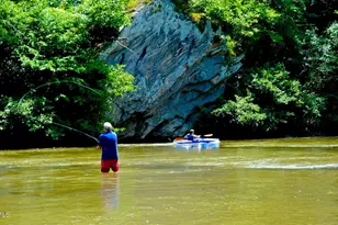 1045 Taylor Hill Rd, Danbury, NC 27016 - Photo 12