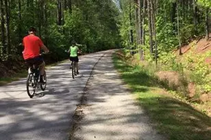 1039 Zelkova Ln, Chapel Hill, NC 27517 - Photo 22