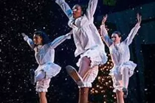 1041 Zelkova Ln, Chapel Hill, NC 27517 - Photo 30