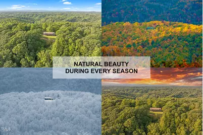 1215 Single Tree Road, Danbury, NC 27016 - Photo 2