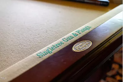 1215 Single Tree Road, Danbury, NC 27016 - Photo 36