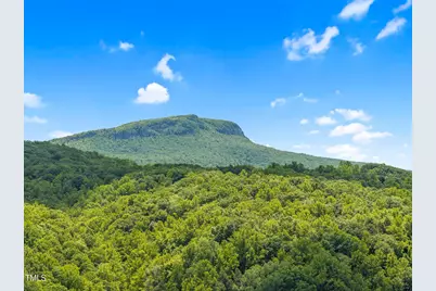 1215 Single Tree Road, Danbury, NC 27016 - Photo 94