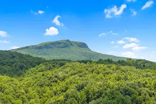 1215 Single Tree Rd, Danbury, NC 27016 - Photo 94