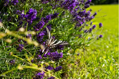 1215 Single Tree Road, Danbury, NC 27016 - Photo 28