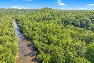 1215 Single Tree Rd, Danbury, NC 27016 - Photo 8