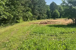 300 Christmas Rd, Warrenton, NC 27589 - Photo 28