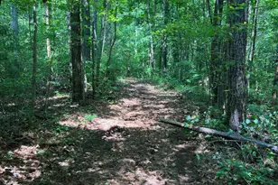 300 Christmas Rd, Warrenton, NC 27589 - Photo 36