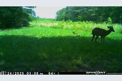 300 Christmas Road, Warrenton, NC 27589 - Photo 22