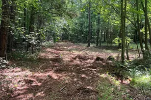 300 Christmas Rd, Warrenton, NC 27589 - Photo 32