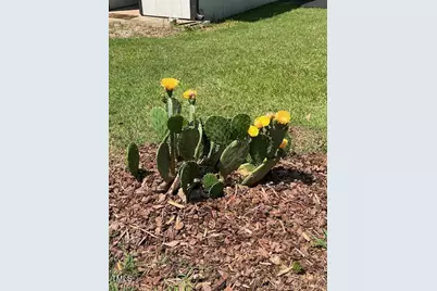 300 Christmas Road, Warrenton, NC 27589 - Photo 50