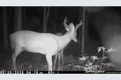 300 Christmas Road, Warrenton, NC 27589 - Photo 24