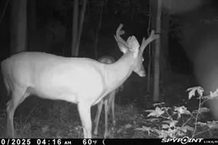 300 Christmas Rd, Warrenton, NC 27589 - Photo 24