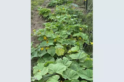 0 Beasley Road, Benson, NC 27504 - Photo 18