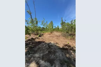 0 Beasley Road, Benson, NC 27504 - Photo 32